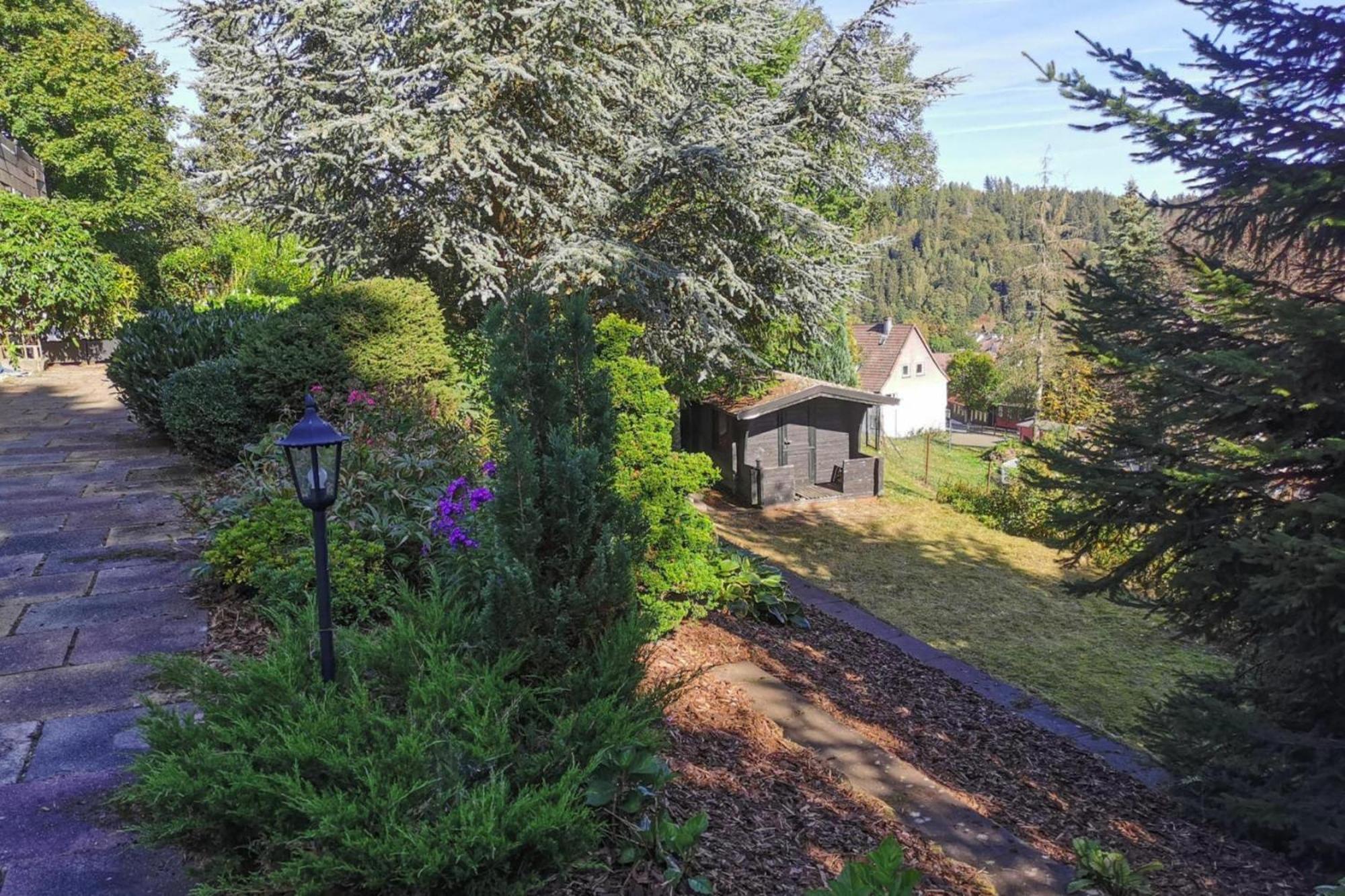 Apartment B Renh Tte Altenau Altenau  Buitenkant foto